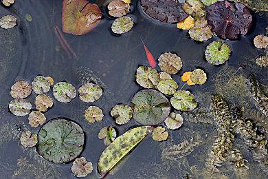 暴雪：《暗黑破坏神4》第五赛季新波次生存模式“炼狱大军”很适合刷金刷材料